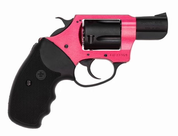 CHARTER ARMS UNDERCOVER LITE .38 SPL. ALUMINUM 5 SHOT 2IN FIXED STANDARD RED BLACK PASSIVATE 53824 - Taurus Savings